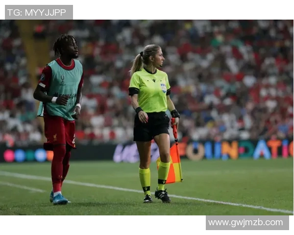 英超足球明星贴纸高清图集尽显球星风采与激情瞬间